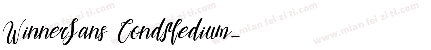 WinnerSans CondMedium字体转换